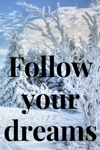Follow your dreams: Motivational Notebook