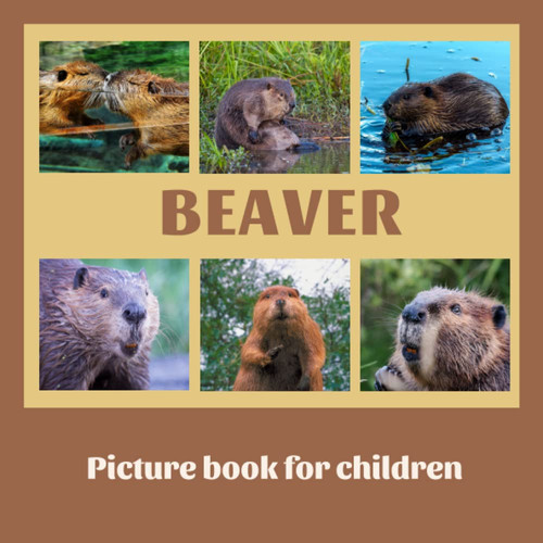 Picture book for children -Beaver: Discovering Beavers in pictures - Children 2 to 5 years old