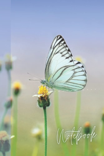 Notebook Butterfly: Butterfly-themed notebook, delicate, soft and useful for any occasion.