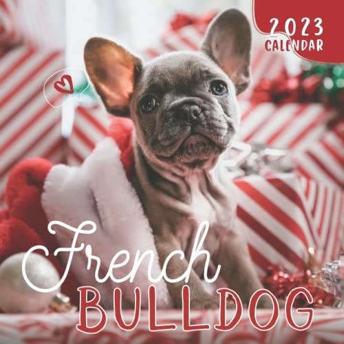 French Bulldog Calendar 2023: 18 Month Calendar (July 2022 - December 2023)