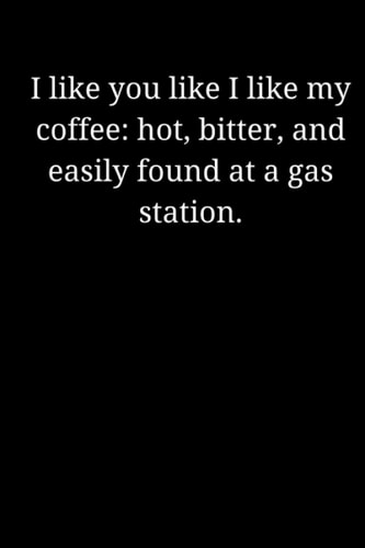 I like you like I like my coffee: hot, bitter, and easily found at a gas station: Funny novelty notebook for coffee drinkers
