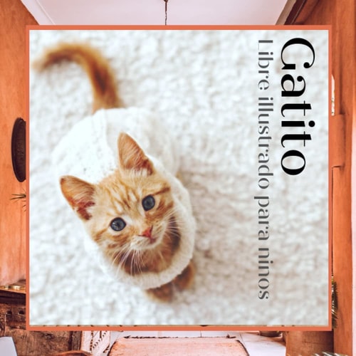 Libre illustrado para ninos - Gatito: Gatito en imágenes - Niños de 2 a 5 años (Spanish Edition)
