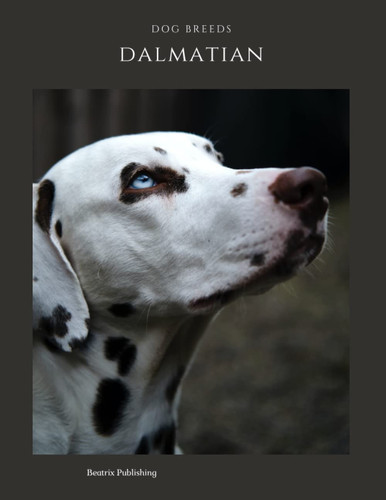 Notebook Dog Breeds Dalmatian: Yournal, Diary, Animal Print