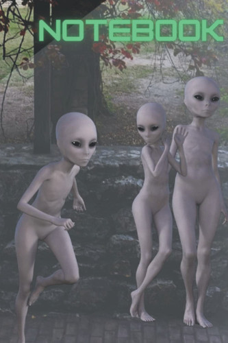 Notebook: A Gray Alien Themed Nootbook