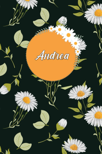 Andrea's Notebook