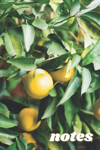 Notes: Summer lemons film photography inspired blank lined notebook