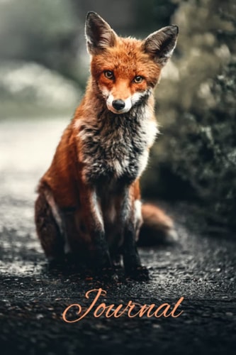 Journal - Daily Journal - Bullet Journal - Diary - Fox - Animal