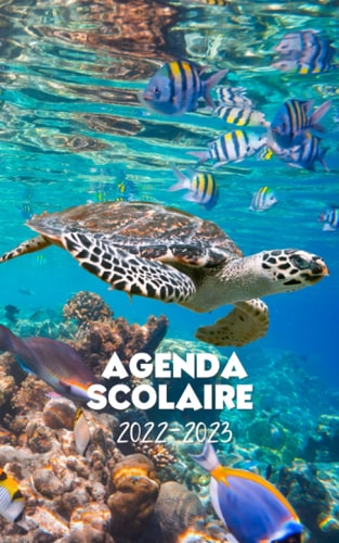 Agenda scolaire 2022-2023 motif tortue: Un sublime agenda journalier pour élémentaire, collège, lycée (French Edition)