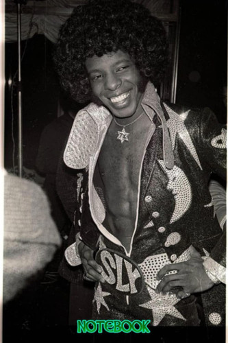 Notebook : Sly Stone College Rule Lined Writing your Ideas and Notes, Thankgiving Notebook Journal #440