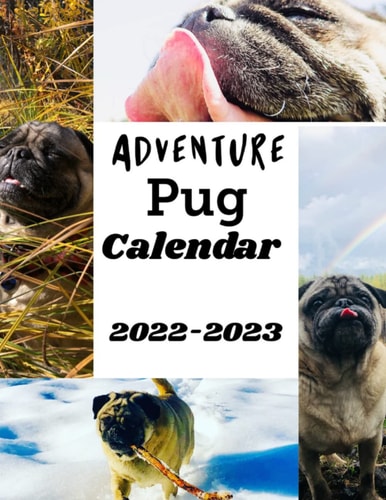 Adventure Pug Calendar 2022 to 2023