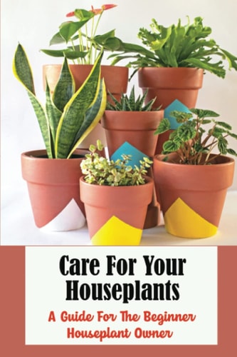 Care For Your Houseplants: A Guide For The Beginner Houseplant Owner