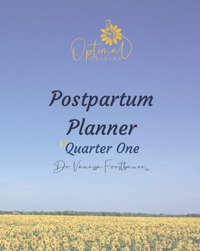 Postpartum Planner: Quarter one