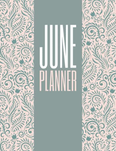 June Planner 2022 Summer Daily Planning and Journal: Day to Day Goals and Tasks Tracking for Women, Girls or Mothers