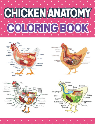 Chicken Anatomy Coloring Book: Chicken Anatomy Coloring Book For Kids & Adults. Great Book For Learn & Understand Chicken Anatomy. Great Gift for ... Anatomy Book for Beginning Medical Students.