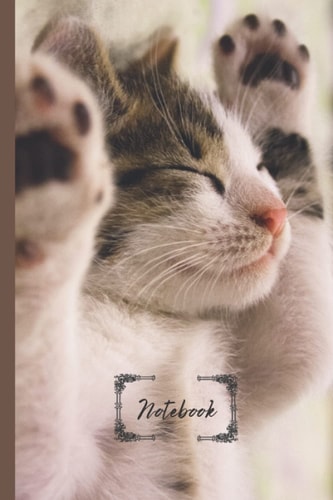 Cat Notebook Journal: Cute Diary Notebook (120pages 6x9in) Cat Notebook for Kids and Grownups