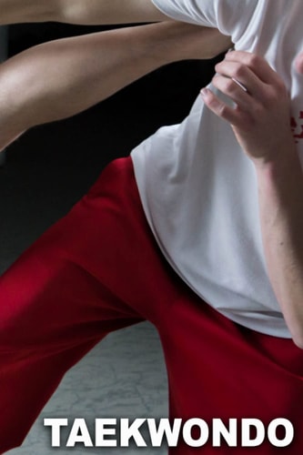 TAEKWONDO: Cuaderno de registro - ¡Mejora tu entrenamiento y tus habilidades con este cuaderno original para todos los entusiastas del combate! (Spanish Edition)
