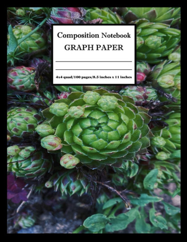 Succulent Fractal Graph Paper Composition Notebook: 8.5 x 11-inch, 100 Quad Ruled Pages, Designer Soft Cover