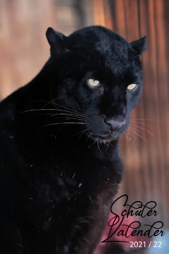 Schülerkalender 2021/22: August 2021 bis Juli 2022 Mit dem Datum , Kalender, Feiertage, Zeitplan, Kontakte , Wochenplaner , hausaufgabenheft 2021/2022 , a5 , schwarzer Leopard (German Edition)