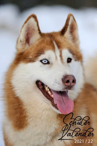 Schülerkalender 2021/22: August 2021 bis Juli 2022 Mit dem Datum , Kalender, Feiertage, Zeitplan, Kontakte , Wochenplaner , hausaufgabenheft 2021/2022 , a5 , Hund Wolf (German Edition)