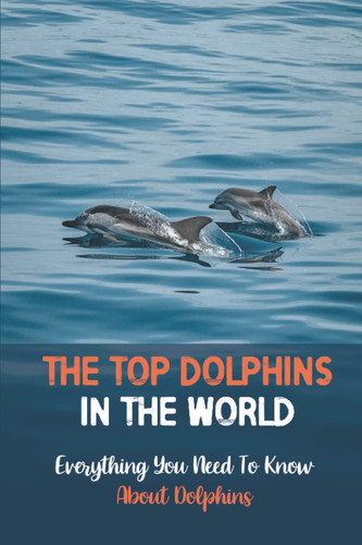 The Top Dolphins In The World: Everything You Need To Know About Dolphins: Information About Dolphins