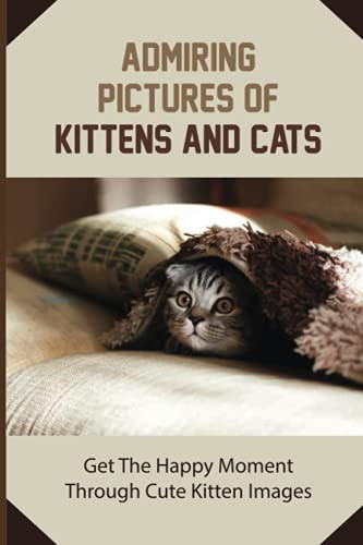 Admiring Pictures Of Kittens And Cats Get The Happy Moment Through Cute Kitten Images: Cat Portraits