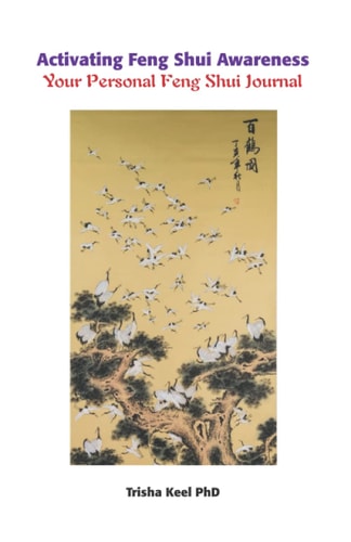 Activating Feng Shui Awareness: Your Personal Feng Shui Journal