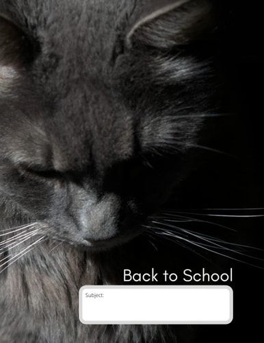 Back to School: Subject Book: Full size College ruled notebook planner with weekly schedule, graph paper and sketch pages. Cute Fluffy Cat Back to School Notebook for teens and Photography Lovers.