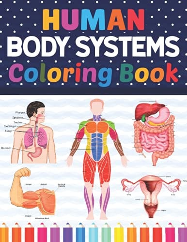 Human Body Systems Coloring Book: Human Body Systems Anatomy Coloring Book For Kids Boys Girls & Teens. Unique and Fun Way to Learn Human Body Systems ... Made Very Well. Nervous System Coloring Book.