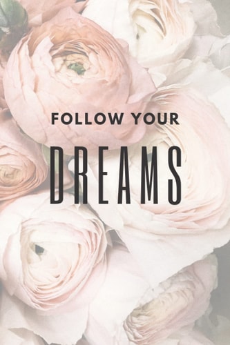 follow your dreams: never give up