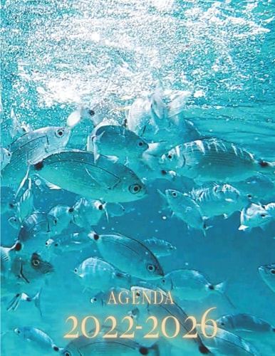 Agenda 2022 - 2026: Banc de poissons en mer. Planificateur mensuel de 5 ans. Grand Format 18x25 cm. Calendrier de 60 mois, 2 pages par mois. (French Edition)