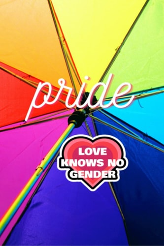 Pride is all you need: LGBT+ Journal, Gay Pride Journal, LGBTQIA+ Themed Journal for Teens and Adults
