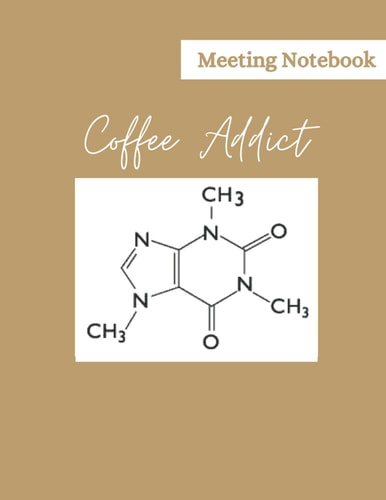 Meeting Notebook: Ideal to organise your meeting, take notes and brainstorming