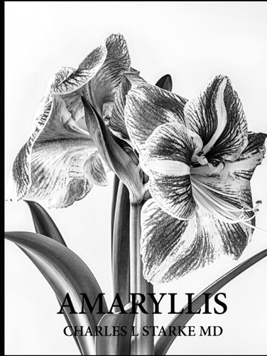 AMARYLLIS: A Photographic Study of a Flower - A Memory of Life