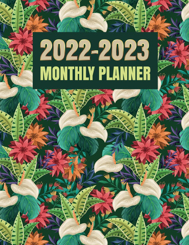 2022-2023 Monthly Planner: Tow year Planner Calendar, 24 Months Calendar Monthly Planner Book. Large Tow Year Agenda Schedule Organizer. (January 2022 to December 2023).