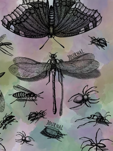 Journal - Water Color Entomology: 8 by 11 Notebook