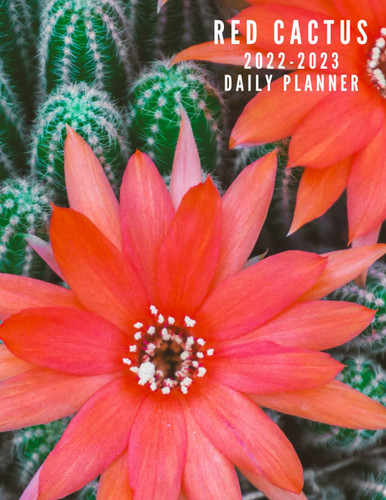 2022-2023 Red Cactus daily Planner: The Red Cactus Slim Design with 2 years plans and 24 months Spreads 8.5 x 11 in