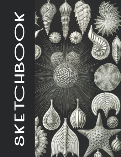 Sketchbook: Seashell Black and White 8.5" x 11" 120 Blank pages for drawing, doodling, sketching: for pencils, colored pencils, pastel, and chalks