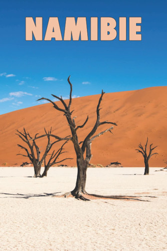 Carnet de voyage Namibie: Carnet de 100 pages avec pages pré-remplies et d’autres à remplir spéciale Namibie. Idée de cadeau original  (French Edition)