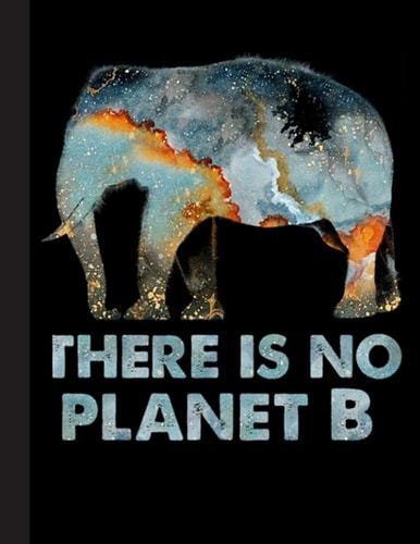 There Is No Planet B Notebook: Elephant Notebooks And Journals Elephant Gifts - Blank Lined Journal Notebook Planner