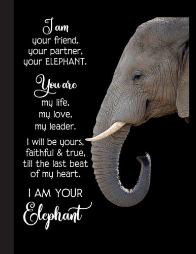 I Am Your Elephant Notebook: Elephant Notebooks And Journals Elephant Gifts - Blank Lined Journal Notebook Planner