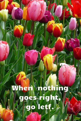 When nothing goes right, go left.: Motivational Notebook, Journal, Diary