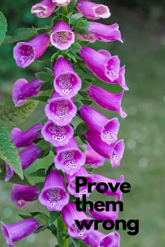 Prove them wrong: Motivational Notebook, Journal, Diary