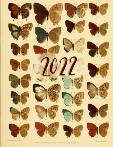 2022 Planner | Weekly + Monthly: 8.5”x11,” clean, organized pages - calendex, habit tracking, week on one page with notes, soft cover