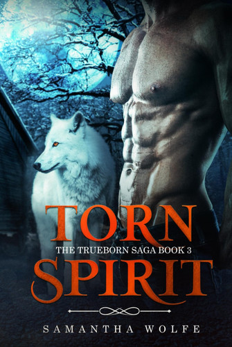 Torn Spirit: The Trueborn Saga Book 3