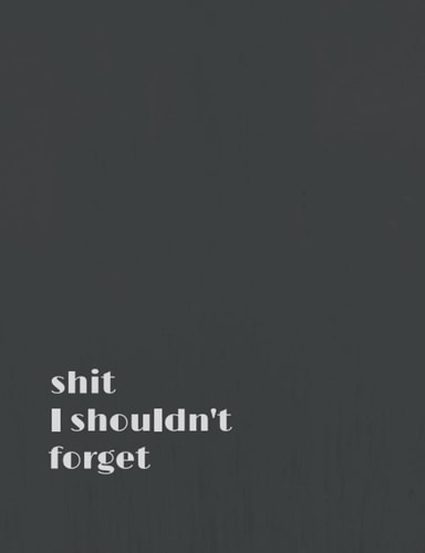 Shit I Shouldn't Forget: Compact, Lined Journal Notebook for jotting down naughty notes, sassy thoughts, and funny quotes
