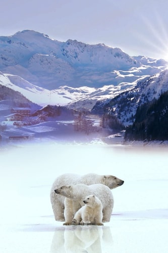 Notebook: Polar bear family notebook