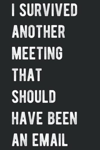 I survived another meeting that should have been an email: Funny notebook journal for work and a special gift for co-workers