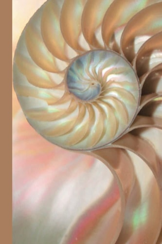 Nautilus Golden Ratio Grid Paper Sketchbook: A blank book with the golden ratio diagram on each page for your sketches
