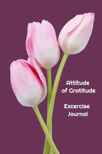 Gratitude Journal: Daily exercise an attitude of gratitude.