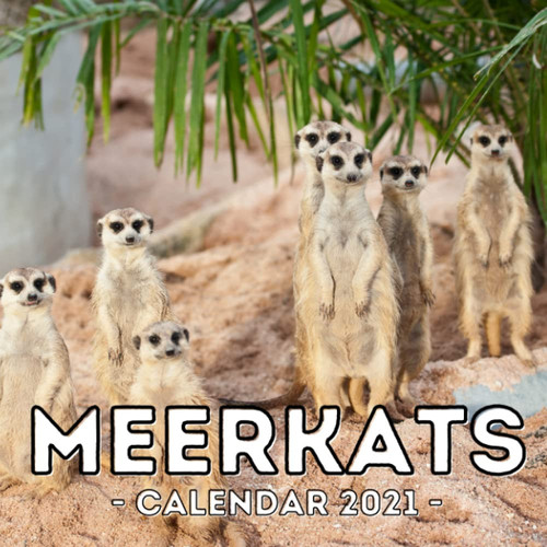 Meerkats Calendar 2021 16-Month Calendar, Cute Gift Idea For Meerkat Lovers Women & Men